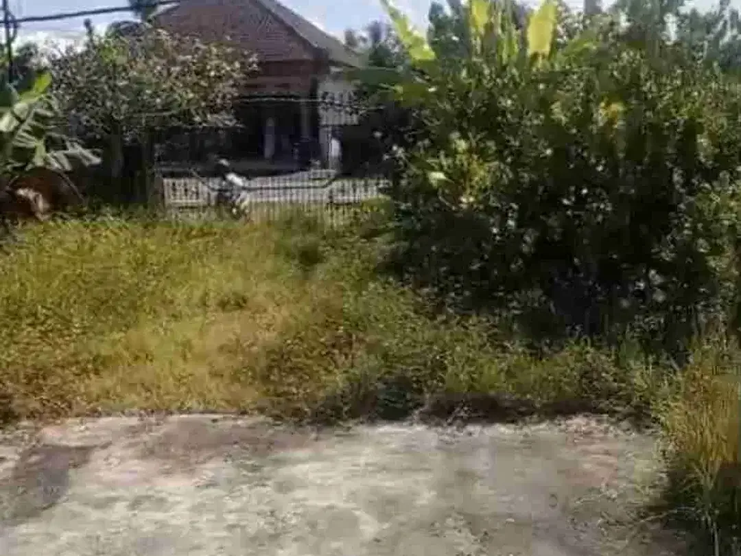 TANAH MURAH JALAN DENPASAR GILIMANUK YEH EMBANG NEGARA COCOK UNTUK USAHA DLL - Image 4 of 7
