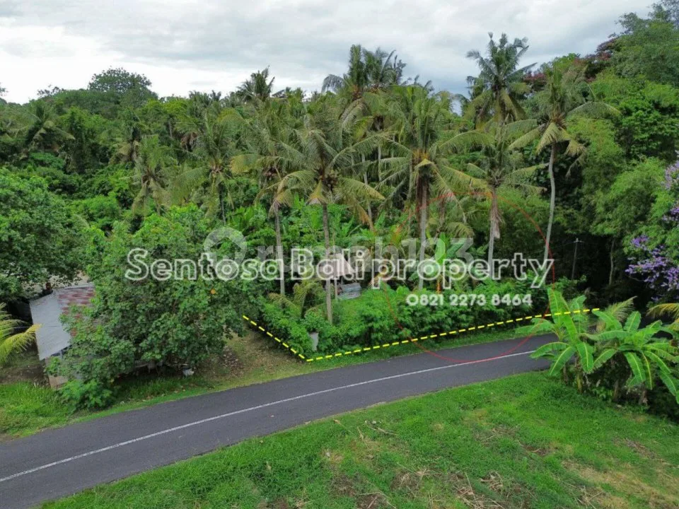 Tanah 1800 M2 di Beraban Selemadeg Tabanan - Image 4 of 4