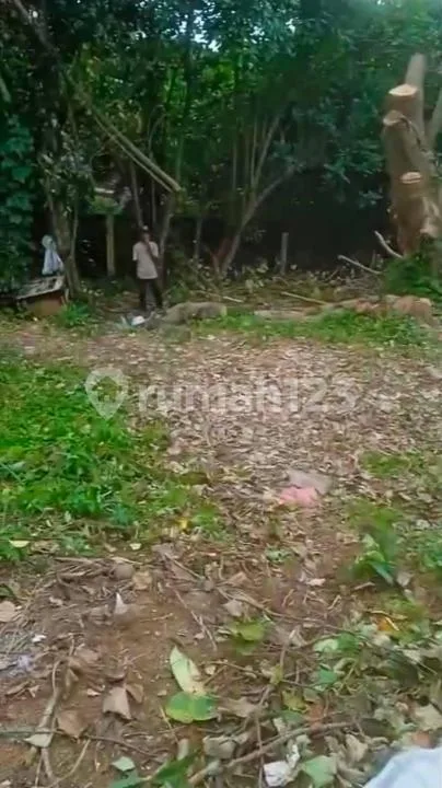 Tanah Zona Kuning Strategis Lokasi Villa Belakang Sungai, Munggu - Image 1 of 4