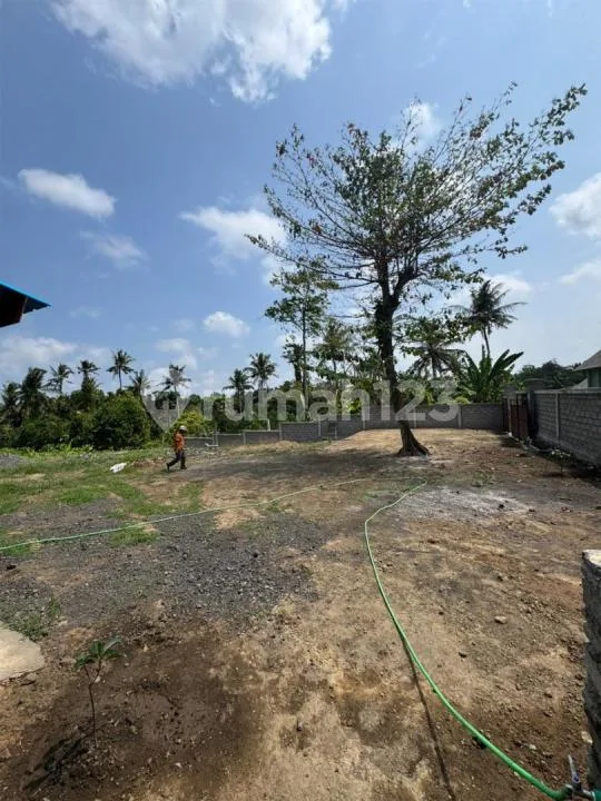 Dijual Tanah - Batuan Kaler, Mas Ubud View Jungle dan Lembah - Image 2 of 4