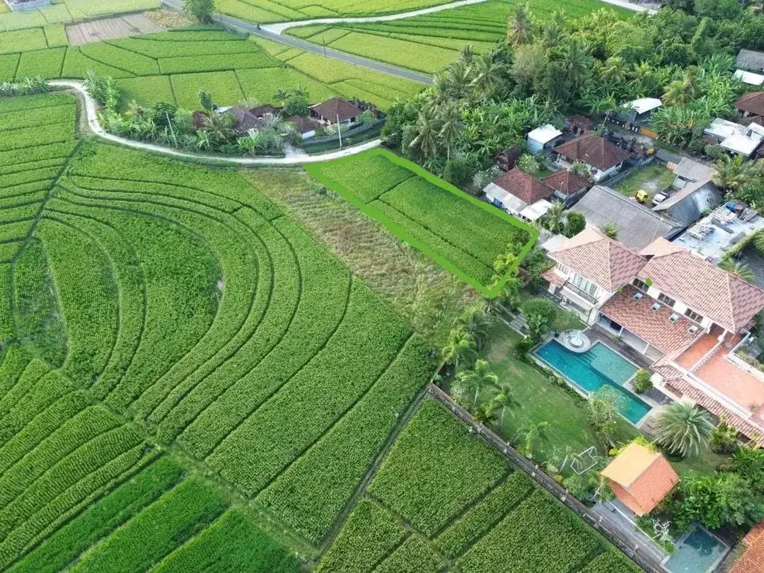 Tanah view sawah pasut tabanan bali - Image 3 of 5