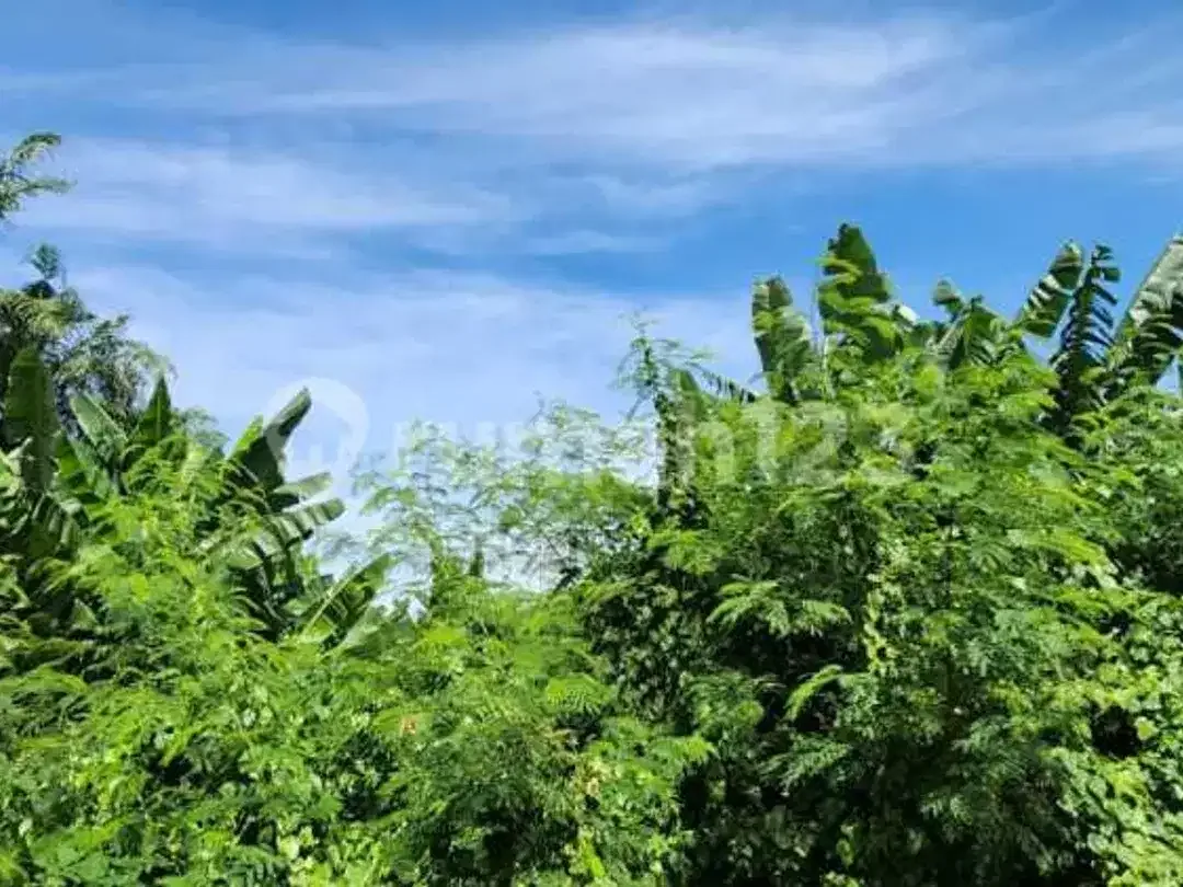 Prime Business Land di Sunset Road Kuta Bali- High Traffic, High Profit! - Image 3 of 5