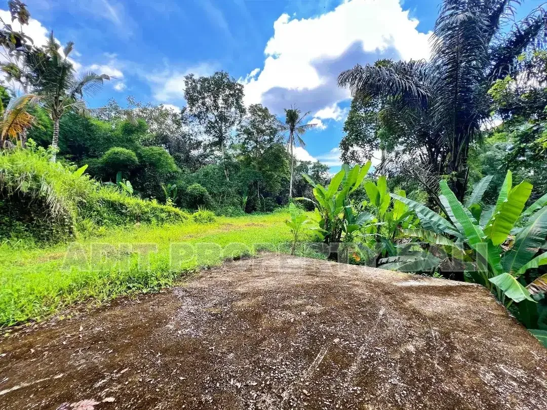 Tanah View Jungle & Sungai Payangan Ubud Gianyar Bali - Image 10 of 10