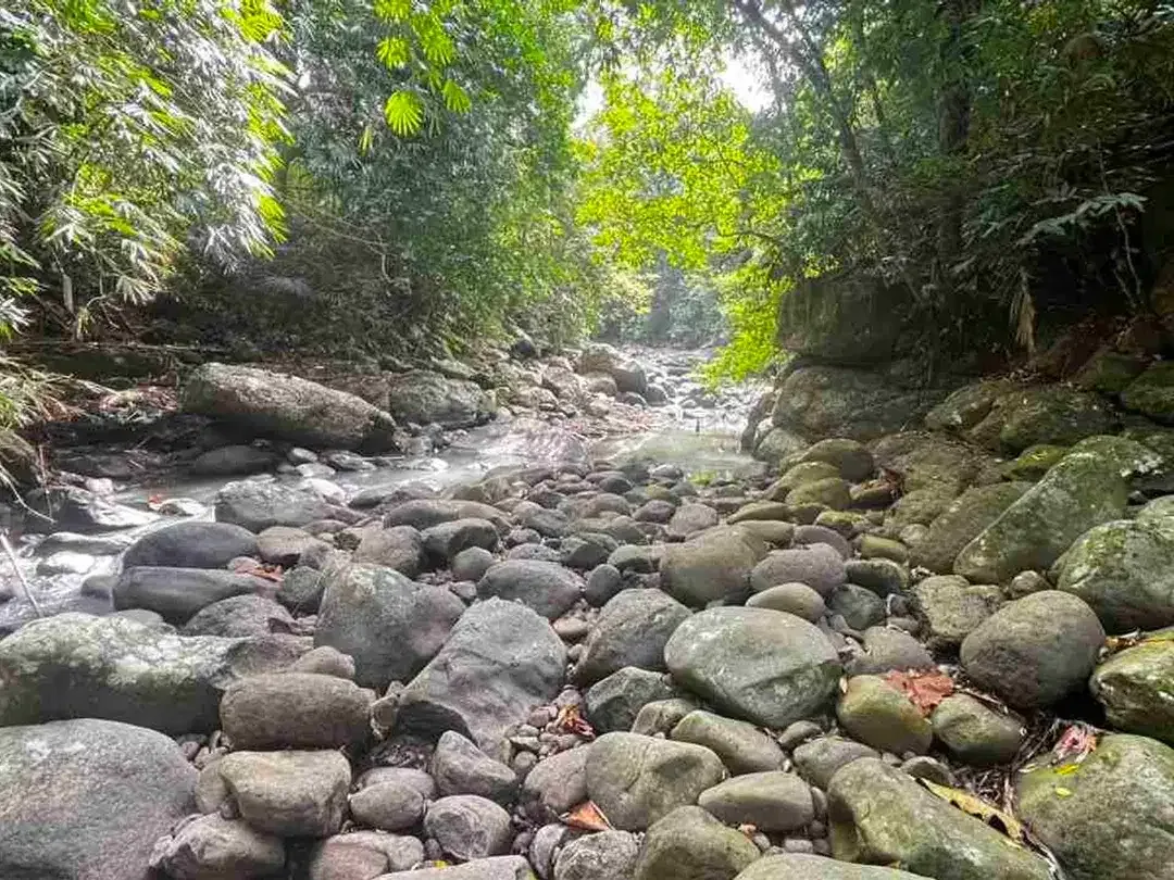 jual tanah kebun view sungai eksotik dan view junggle yang asri di tabanan bali. - Image 5 of 10