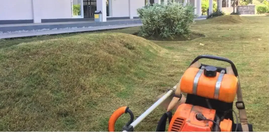 jasa potong rumput panggilan - Image 1 of 10