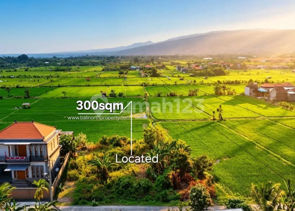 Tanah Eksklusif Dijual - Lovina, Bali Utara - Image 2 of 4