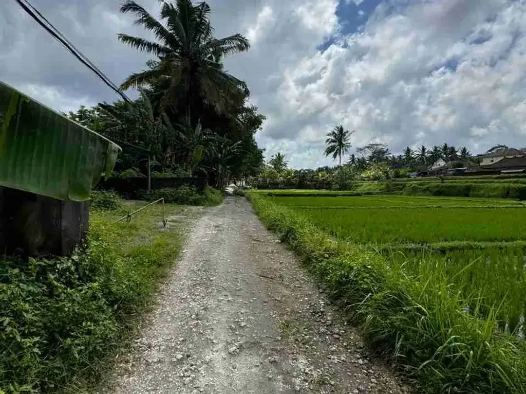 Tanah View Sawah Abadi Bonus Rumah Style Vila di Ubud - Image 5 of 10