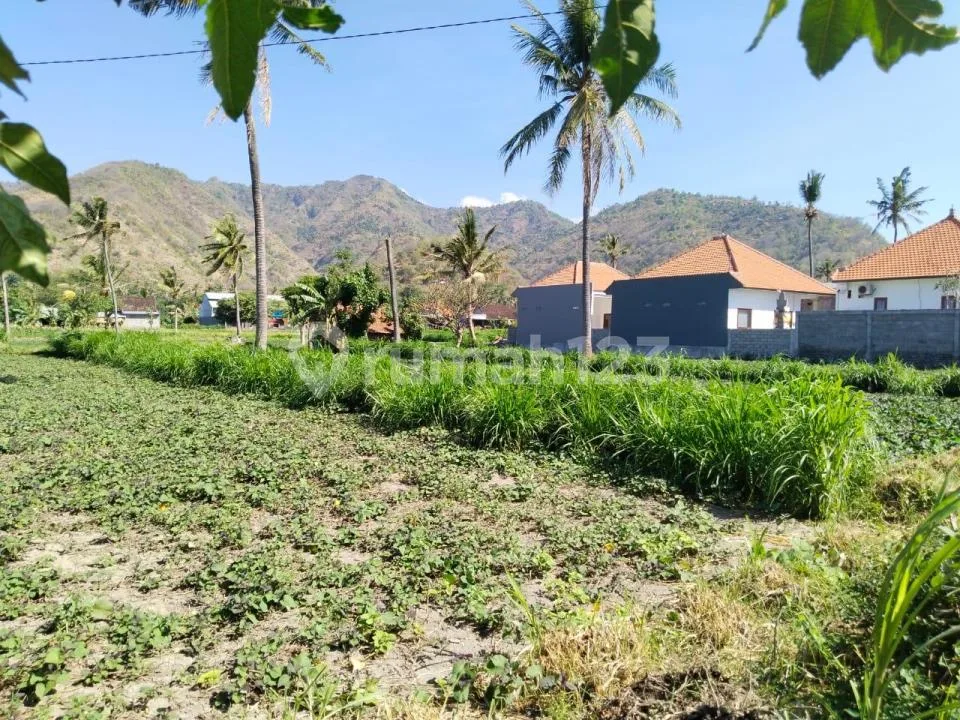 Tanah Jalan Utama Bias Lantang Karangasem #Tj8438ry - Image 2 of 4