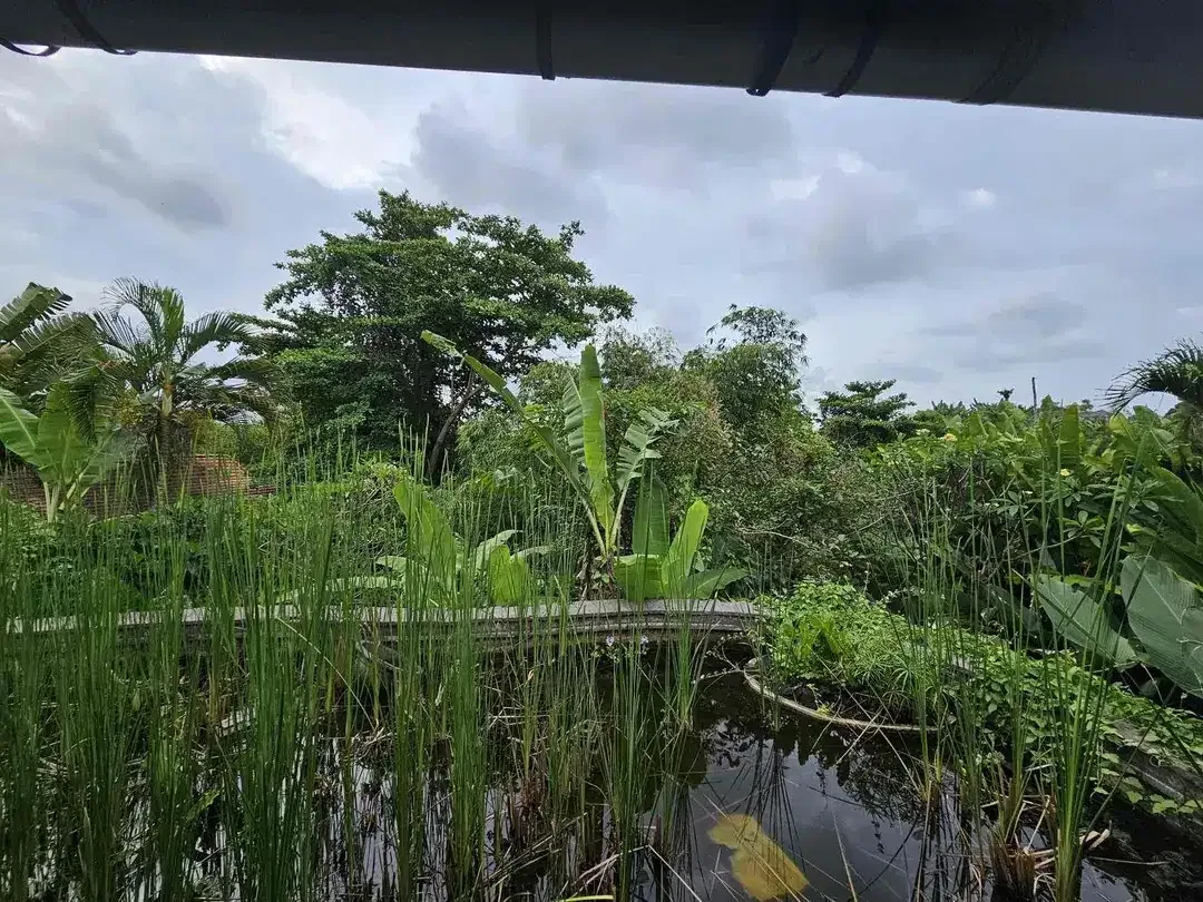 Dijual 

Tanah Komersil Los Sungai & View Sawah di Dekat  Canggu Bonus villa mangkrak - Image 3 of 5