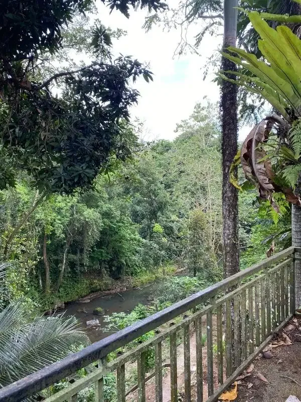 Dijual  Villa di area Sanggulan Tabanan  Bali - Image 6 of 10