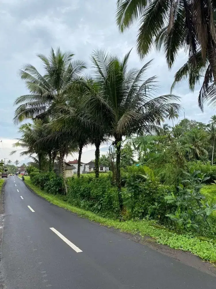 DIJUAL TANAH SAWAH LOS SUNGAI TABANAN - Image 2 of 9