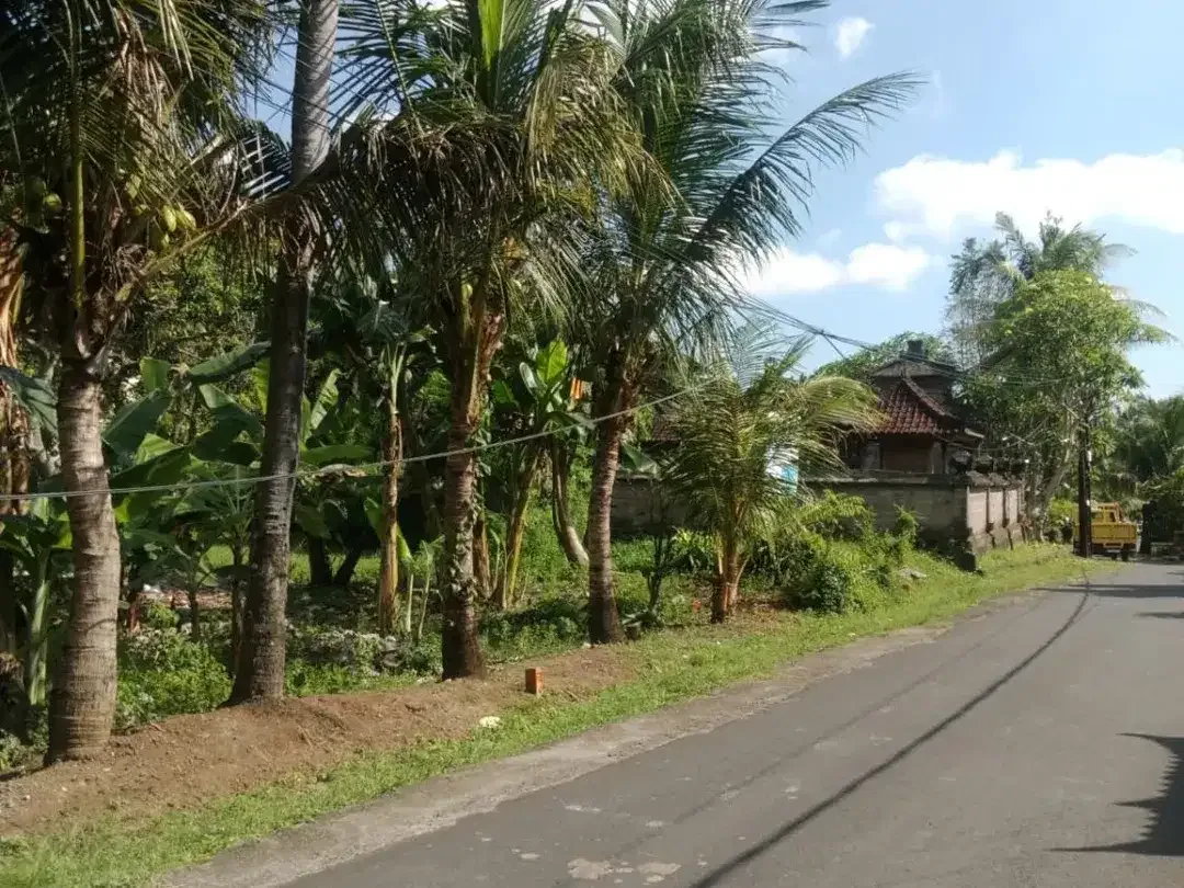 Strategic Land in Desa Wisata Kaba-Kaba For Sale - Image 1 of 10