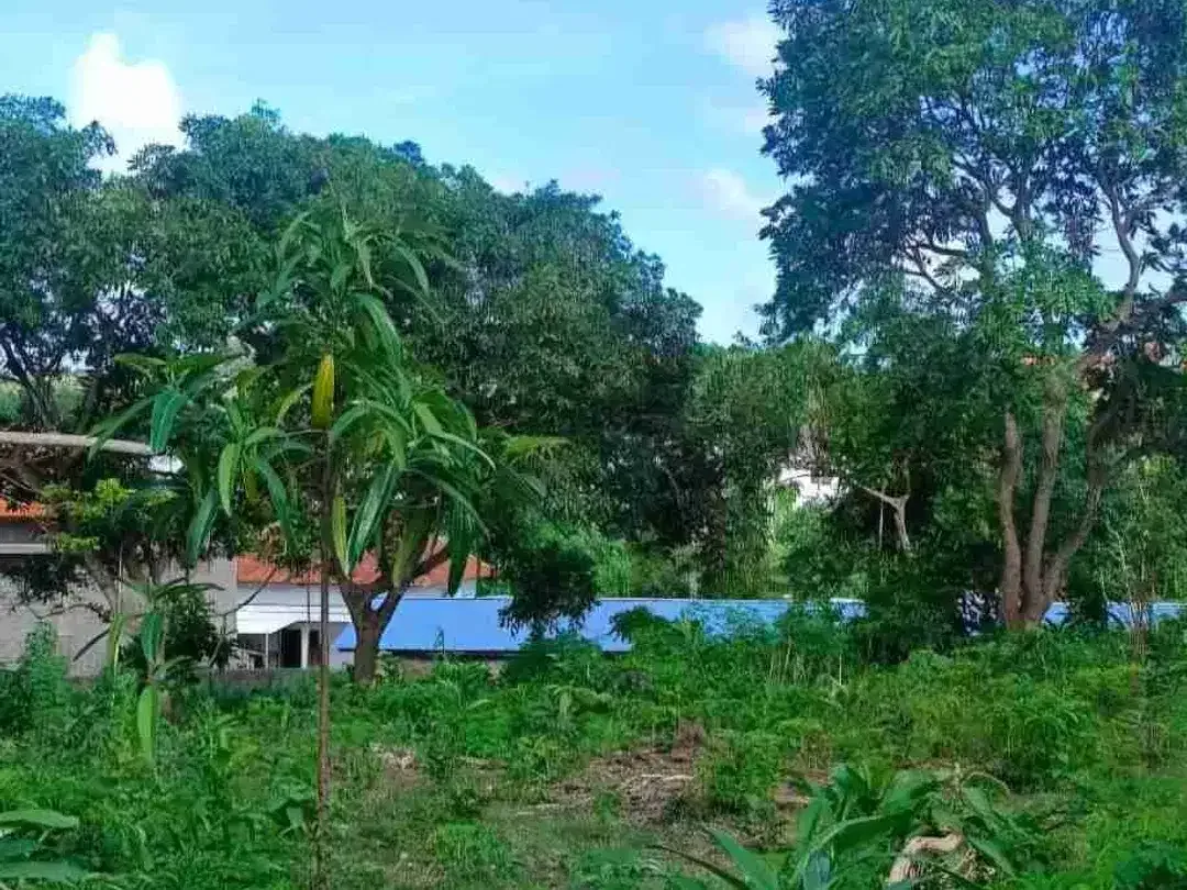 DIKONTRAKKAN TANAH LOKASI PECATU DEKAT PANTAI BINGIN DAN ULUWATU - Image 6 of 7