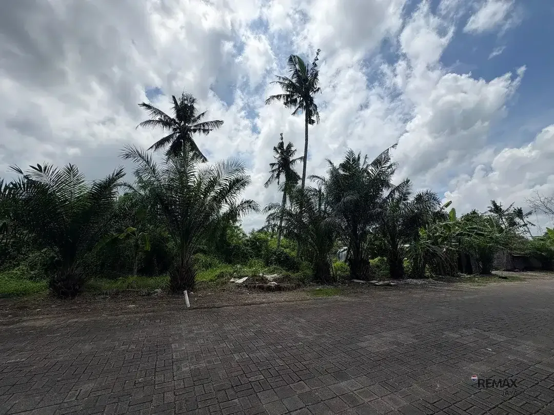 Tanah 25.69 Are di lingkungan villa eksklusif Dijual, di Munggu - Image 3 of 5