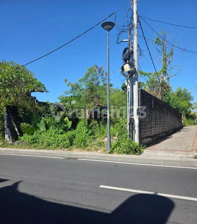 Tanah Jalan Utama Kayu Tulang Selatan Canggu #Tj0521 - Image 3 of 4
