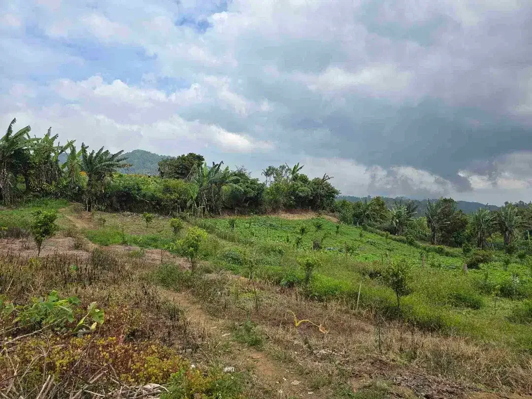 Dijual tanah kecil di.lingkungan villa kintamani bali - Image 4 of 10
