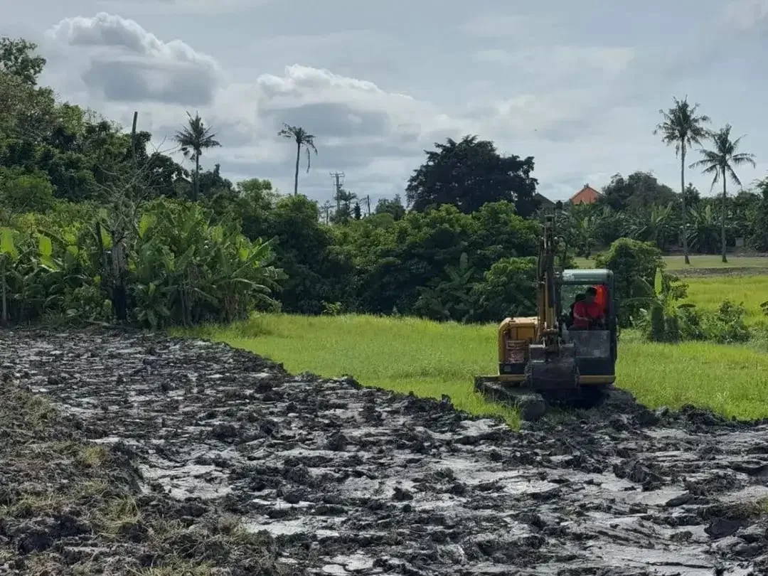 LAND FOR LEASEHOLD IN TANAH LOT BALI - Image 8 of 9