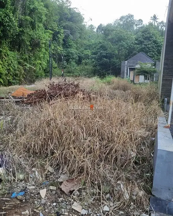 AMS-070.RGL Jual Tanah Kavling Murah di Perumahan Exclusive di Tabanan - Image 6 of 10