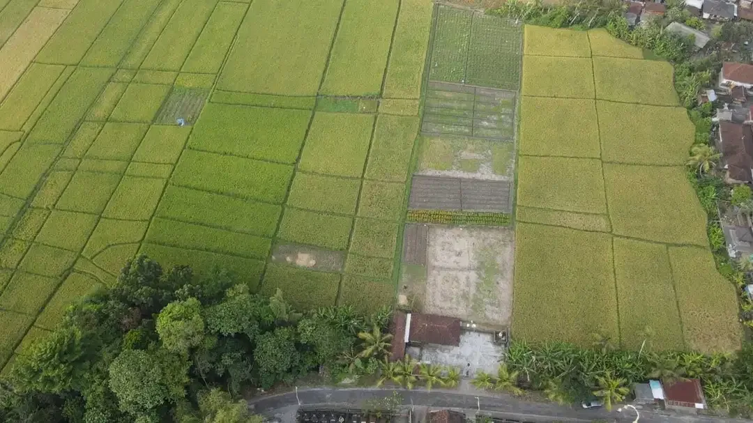 Tanah 3450m2 Full View Sawah di Pantai Kelating Tabanan - Image 7 of 10