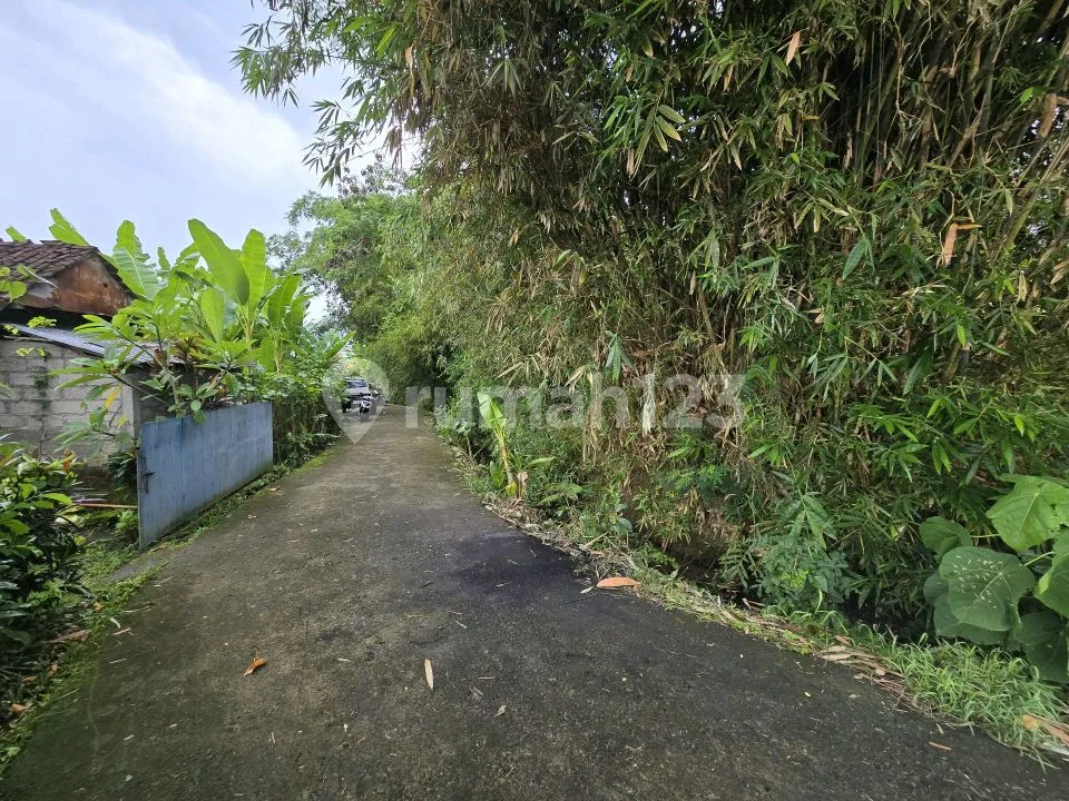 Dijual Tanah Murah View Sawah di Tabanan Bali - Image 4 of 4