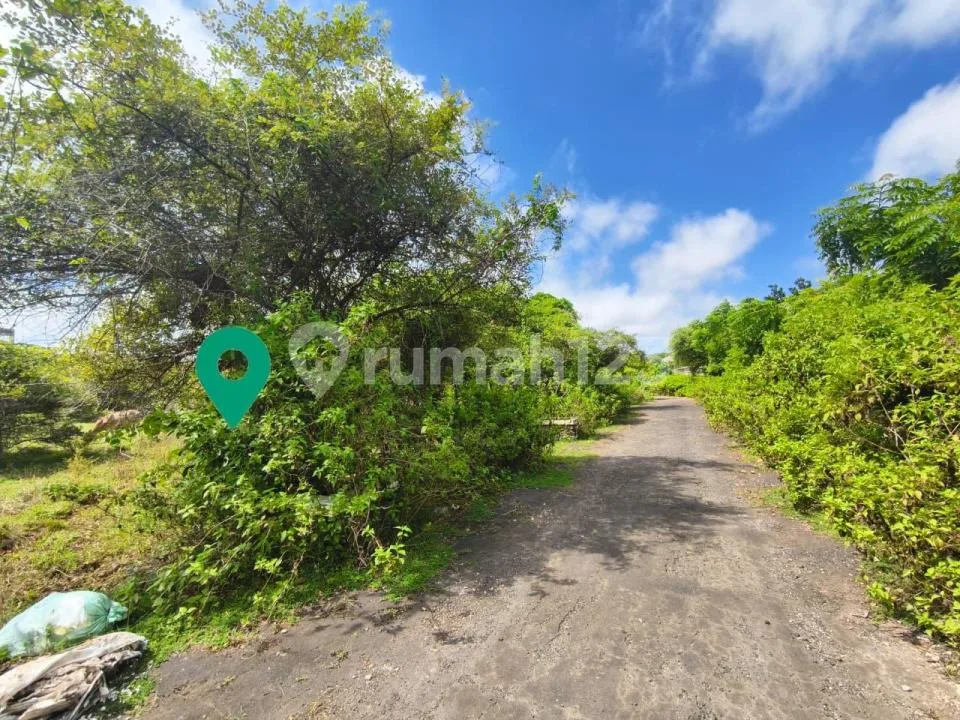 Tanah Komersial SHM Kontur Datar Dekat Pantai Melasti Ungasan Bali - Image 3 of 4