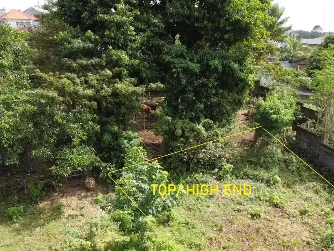 PRIME LOCATION LAND FOR SALE UNGASAN - Image 4 of 7