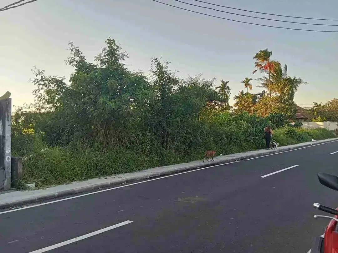 Tanah Komersial Cemagi Hanya 300 Meter ke Pantai - Image 4 of 10