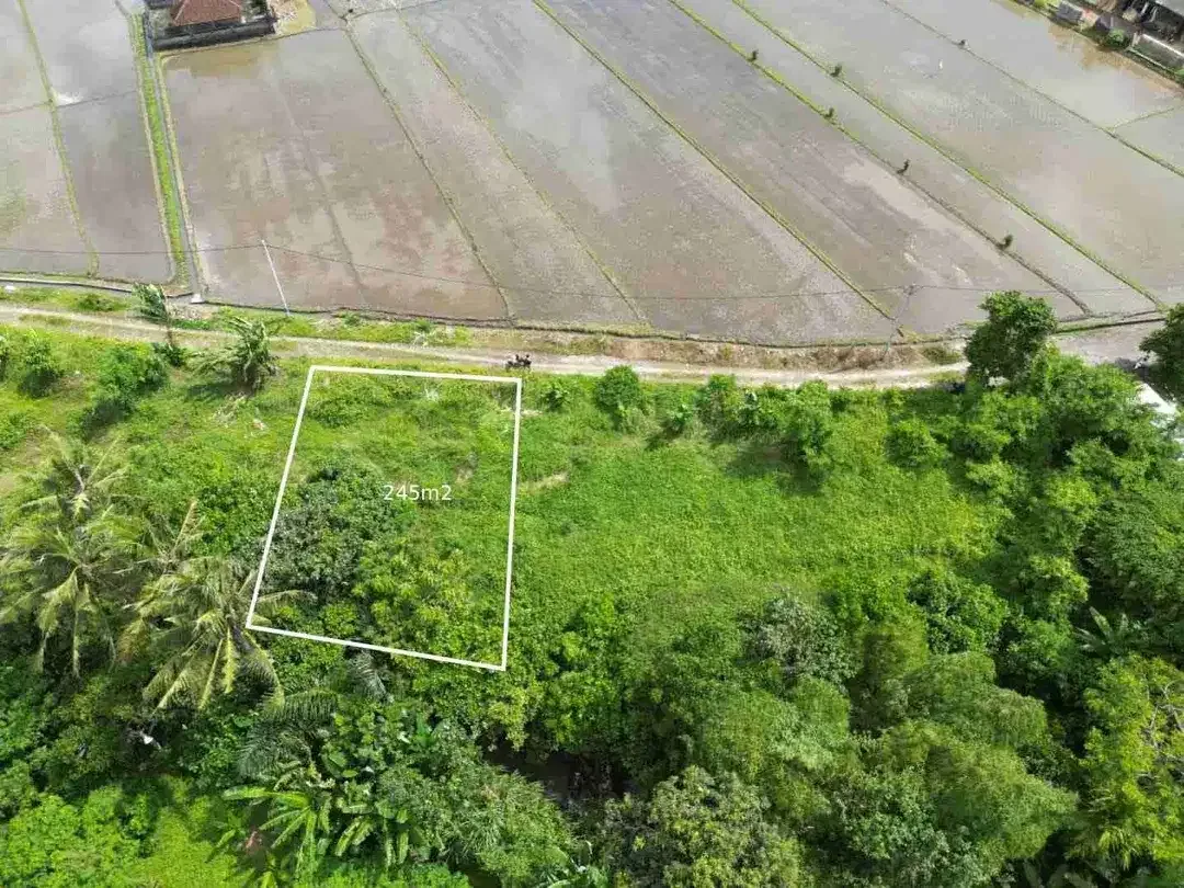TANAH DIJUAL CEPAT LOKASI KEDUNGU NYITDAH - BALI - Image 3 of 4