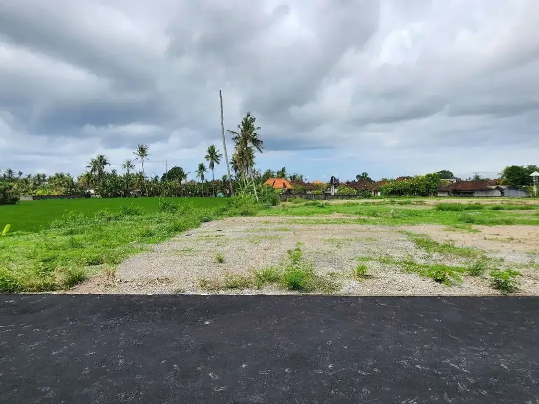 Tanah kavling dengan view sawah berlokasi strategis di Pering, Blahbatuh, Gianyar. - Image 4 of 8