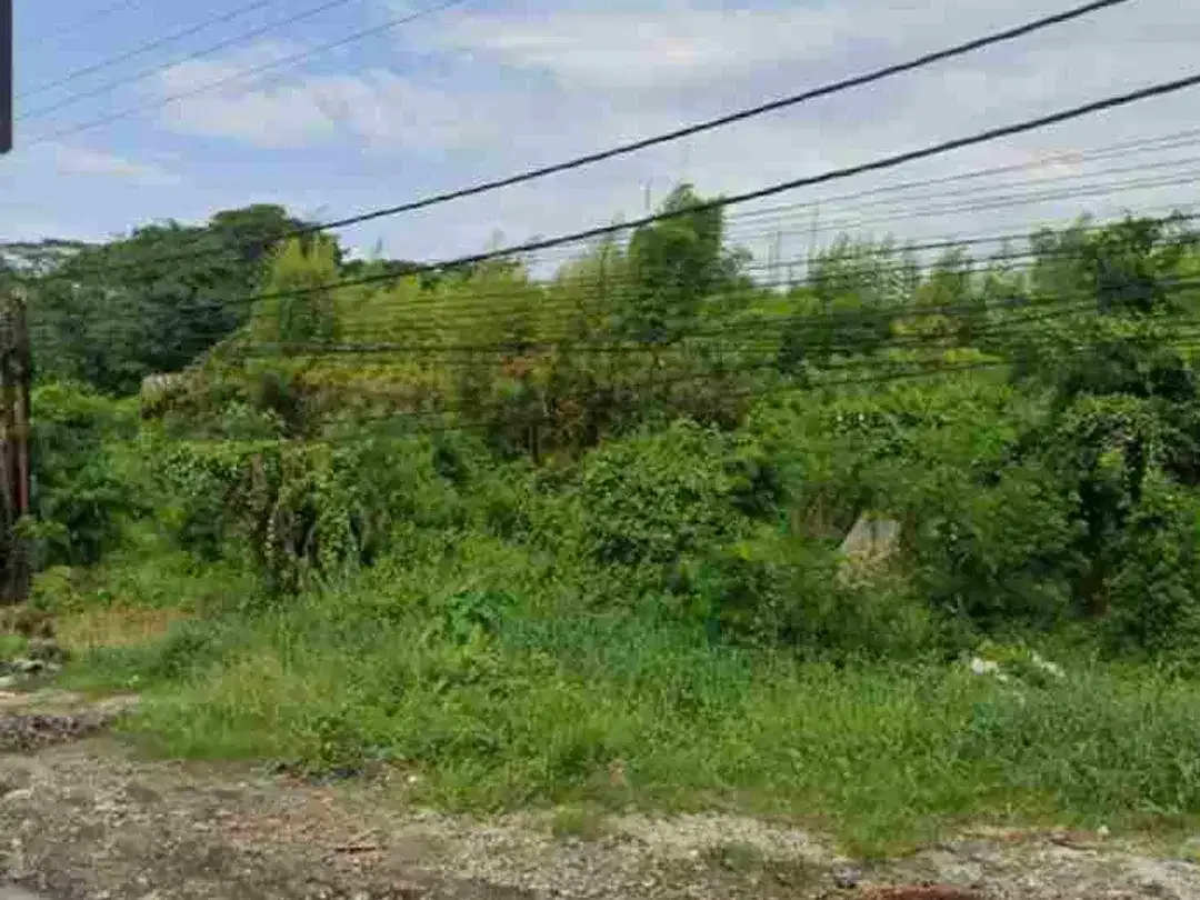 Disewakan Tanah 1ha di pinggir Jln Bay Pas IB Mantra Pering/Saba Gianyar Bali - Image 3 of 9
