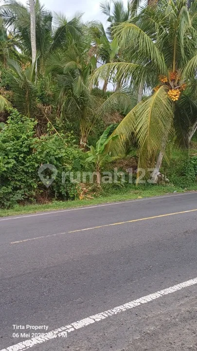 Tanah di Jalan Raya Denpasar-Gilimanuk 18, Selabih, Selemadeg Barat, Tabanan, Bali, Indonesia, 82162, Selemadeg SHM 2300.0 M² - Image 4 of 4