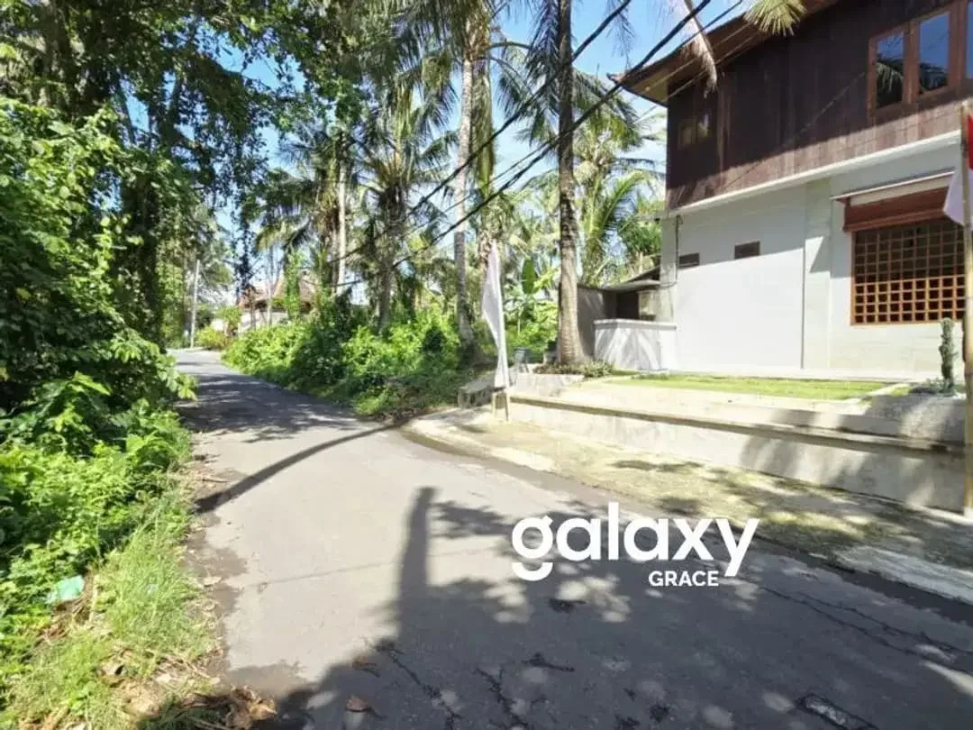 SUBLEASE BISTRO & A WOODEN HOUSE - PANTAI SABA GIANYAR - Image 3 of 10