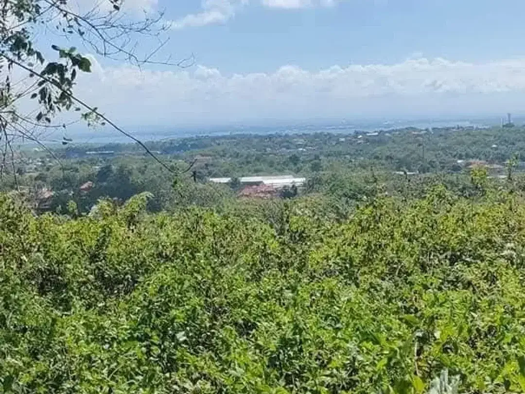 Tanah ocean view unblock di nusa dua Bali - Image 3 of 10