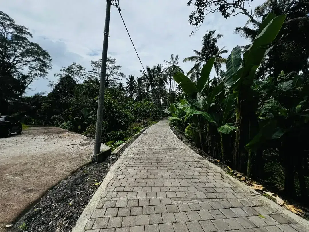Tanah los sungai payangan ubud - Image 8 of 9