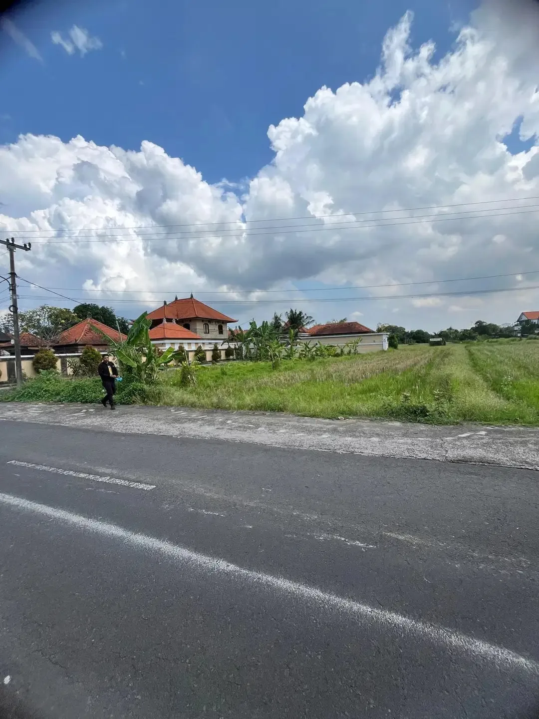 Dijual Tanah Pinggir Jln. Utama Ubud 700 m2 Cocok Usaha dan Vill - Image 9 of 10