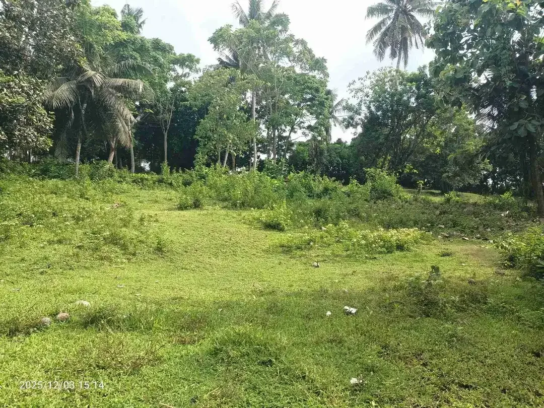 Tanah Zona Pink dekat Pantai Soka dan Balian Bali - Image 6 of 6