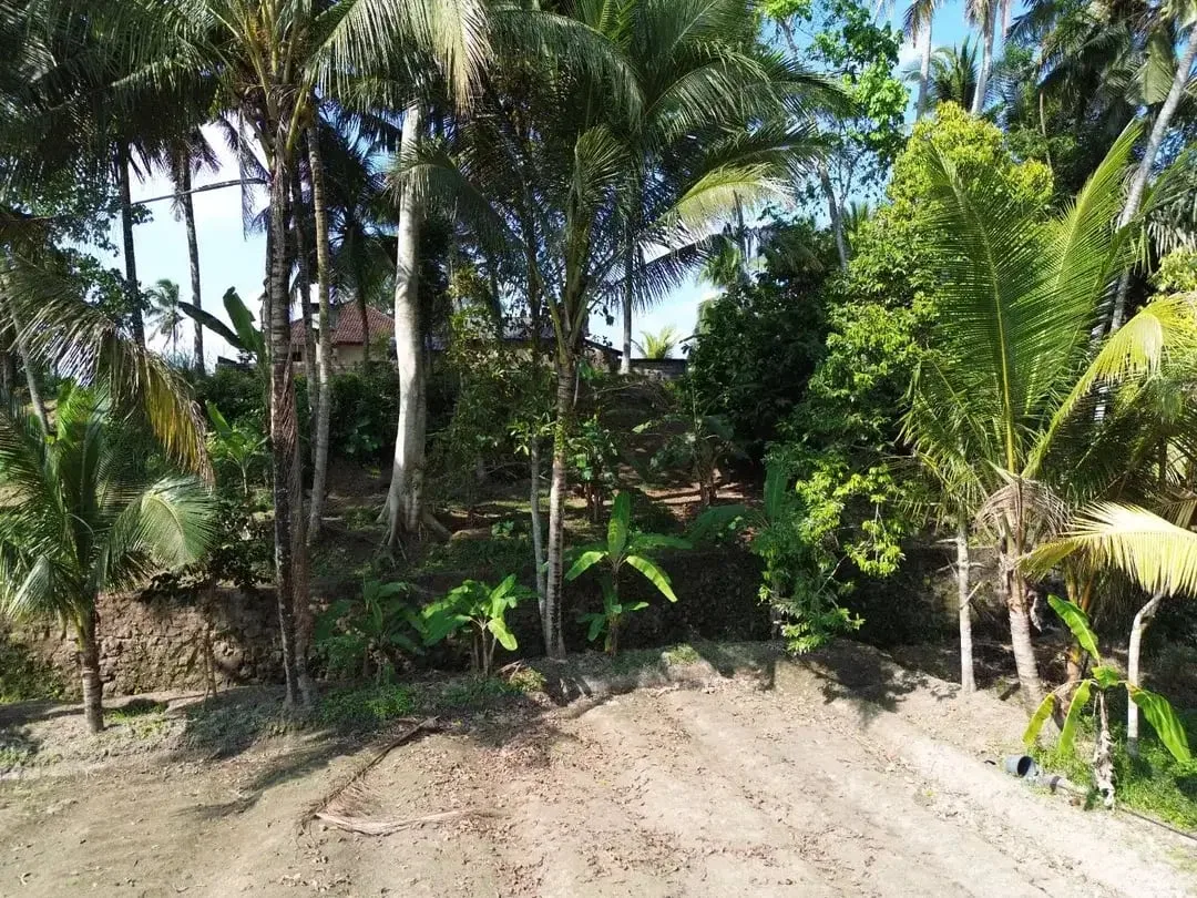 [DIJUAL] Tanah Matang 10,5 Are Zona Campuran di Mambal Badung – Dekat Green School & Ubud - Image 9 of 10