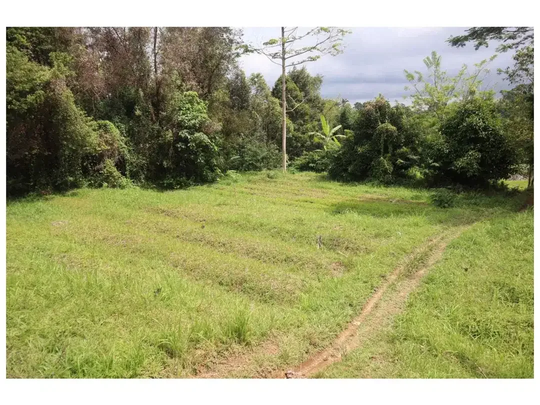 Dijual Tanah Strategis di Desa Apuan, Kecamatan Baturiti, Tabanan - Image 5 of 10