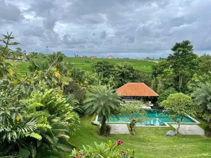 Villa With Ricefield View in Canggu Pererenan - Image 4 of 10