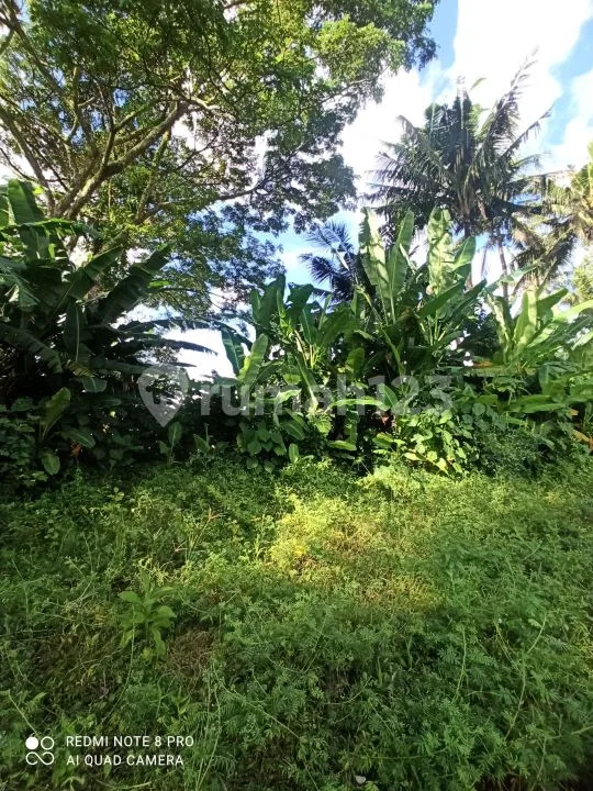 Tanah View Sawah Abadi Zona Kuning Lingkunganvilla - Image 2 of 4