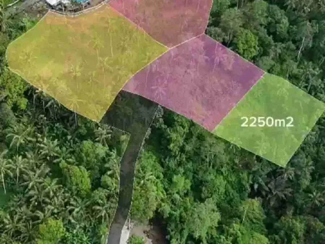 PRIME LOCATION IN WOS RIVER NEAR CAPELLA RESORT UBUD - Image 9 of 10