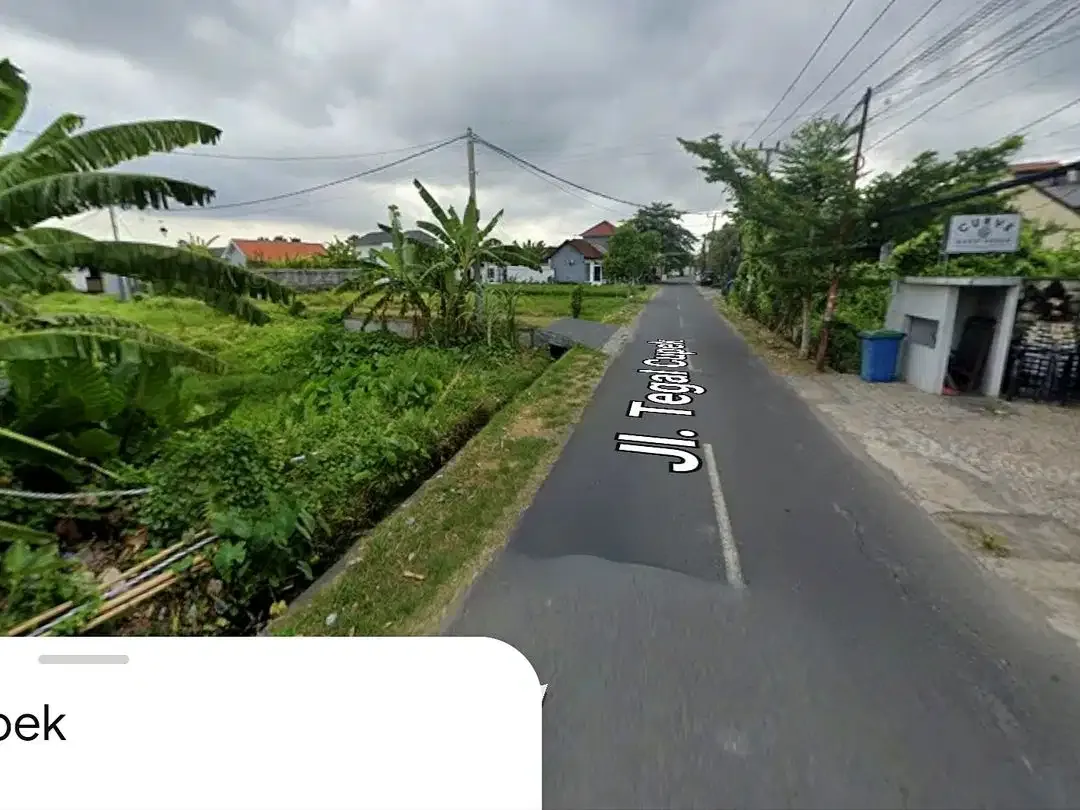 Tanah Raya Tegal Cupek Kerobokan - Image 7 of 10