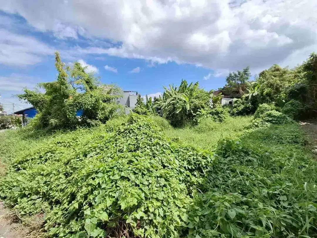 Tanah premium plot kecil sangat langka cocok untuk invest - Image 4 of 7