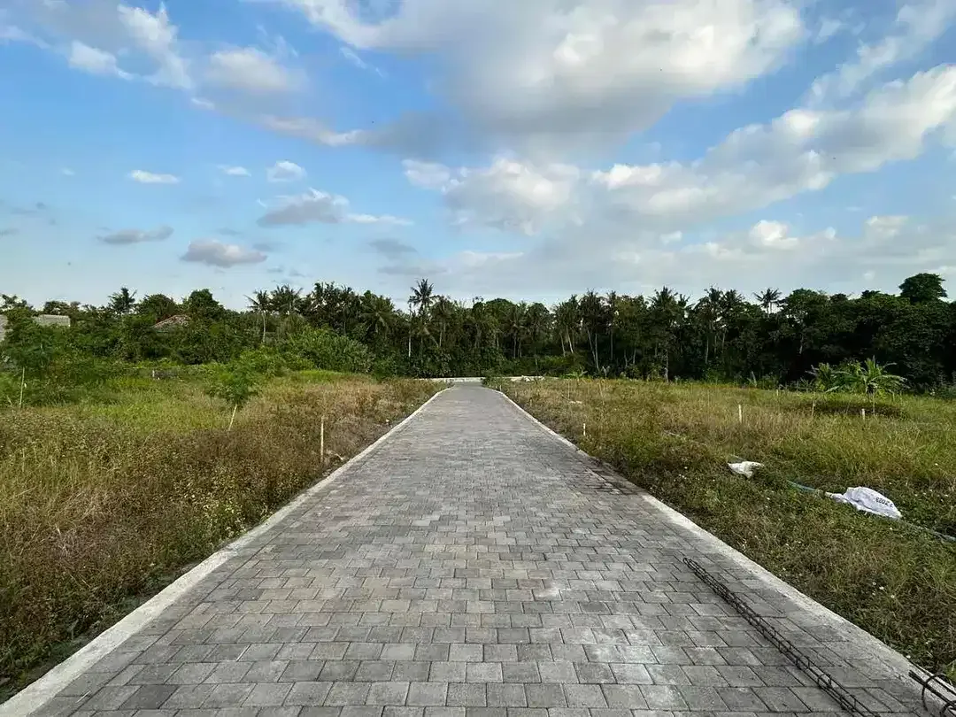 SALE Tanah 1,15 Are View Sawah Pandak Gede - Image 4 of 6