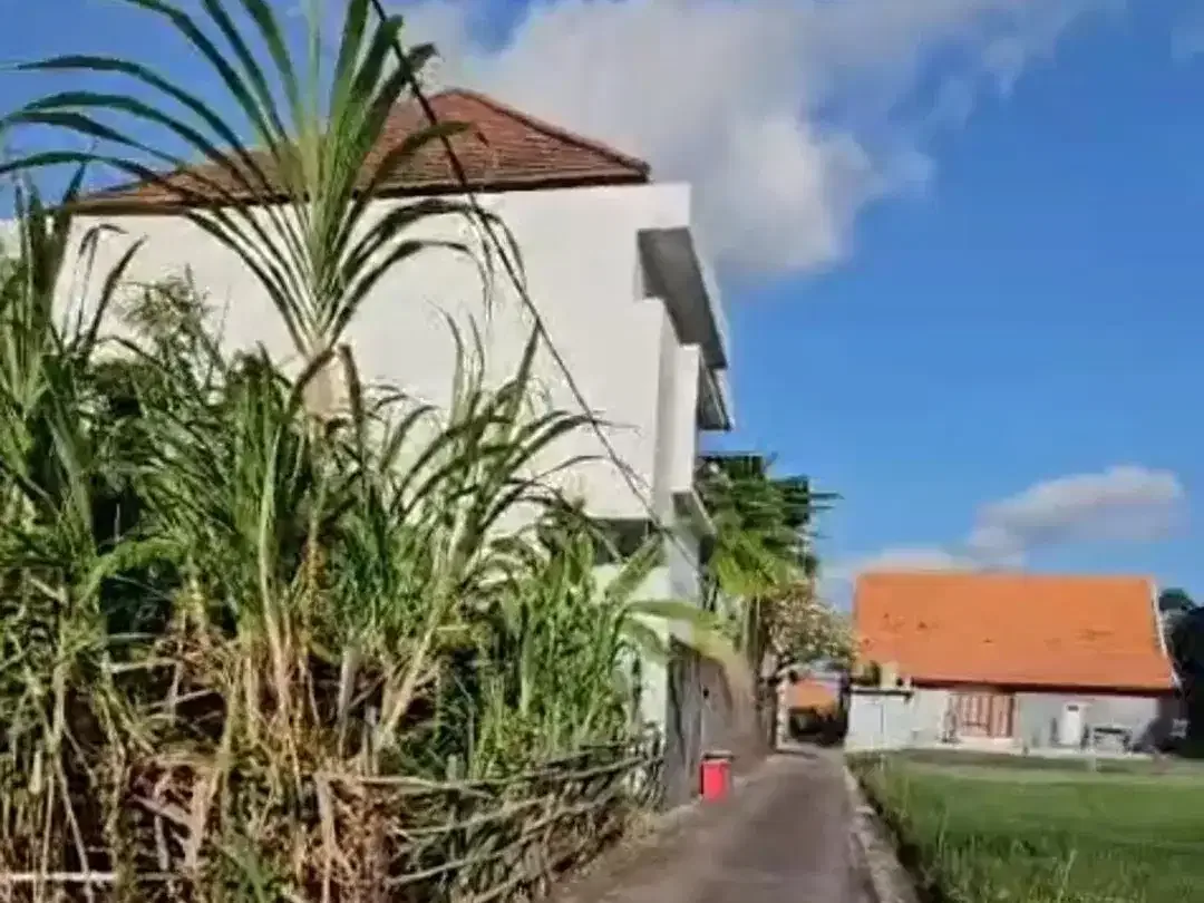 Freehold - Prime 300 sqm Residential Land with Rice Field View, Walking Distance to the Beach in Canggu, Bali - Image 3 of 4