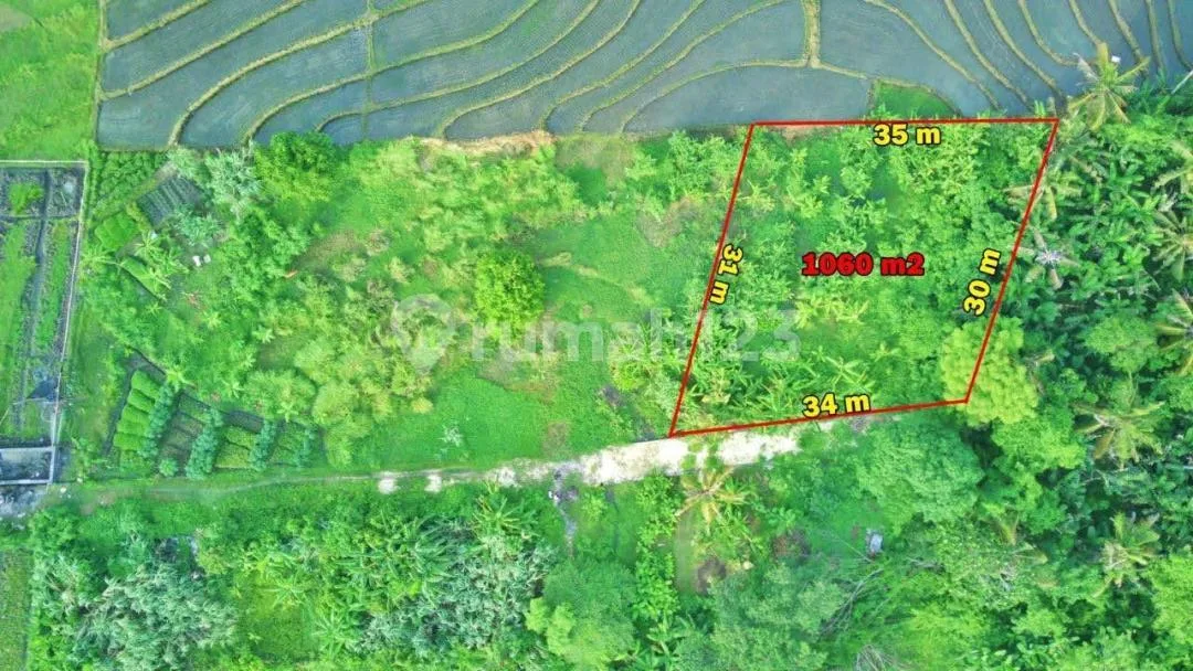 Jual Tanah Indah di Pantai Nyanyi, Tabanan - Image 2 of 4
