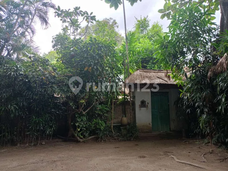 Etnic Bali Villa For Rent Neat Sanur - Image 4 of 4
