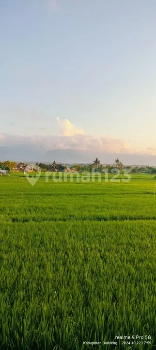 8800mÂ² Beachfront Land View Bukit Di Bungkulan Buleleng Bali - Image 2 of 4