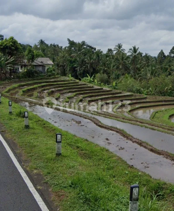 Dijual Tanah Murah Strategis di Pinggir Jalan Utama 1500MÂ² View Gunung - Image 4 of 4