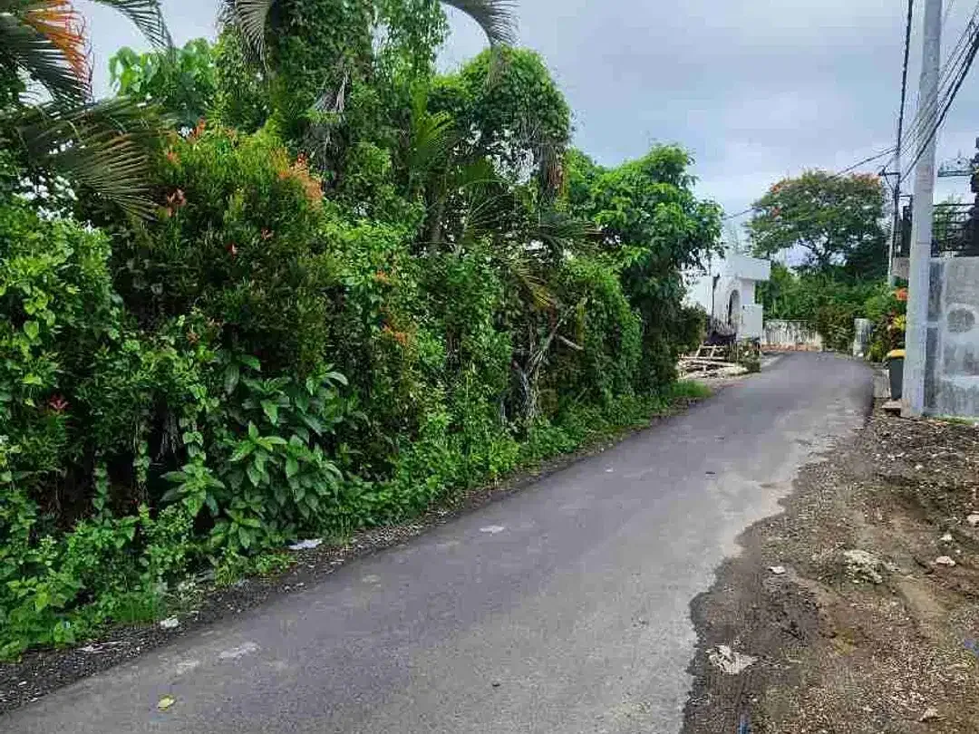 Di jual tanah jantuk angsa pererenan sangat cocok di bangun villa, lingkungan villa pinggir jalan - Image 6 of 8